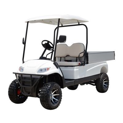 An electric utility golf cart with a 2-seater cabin and a cargo bed, displayed isolated on a white background.